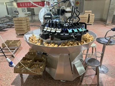 红外线转盘式疫苗注射断喙一体机